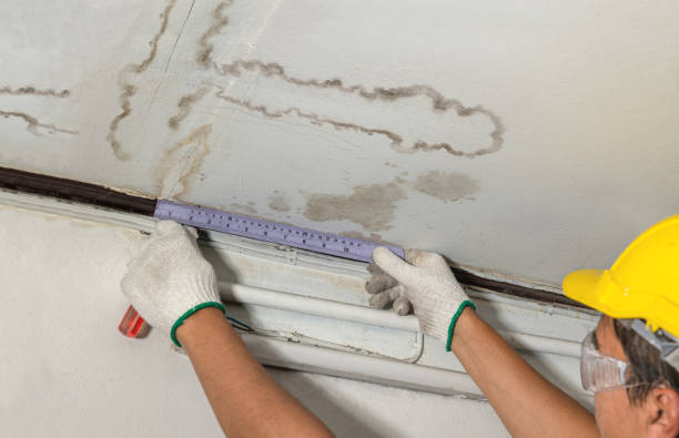 Reliable Water Damage Repair contractor in Patten, ME by Hirex Water Damage
